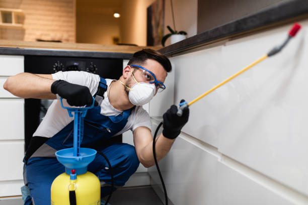 Best Residential Pest Control  in Beaver, UT
