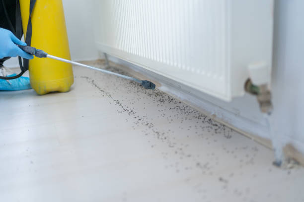 Best Cockroach Control Services  in Beaver, UT
