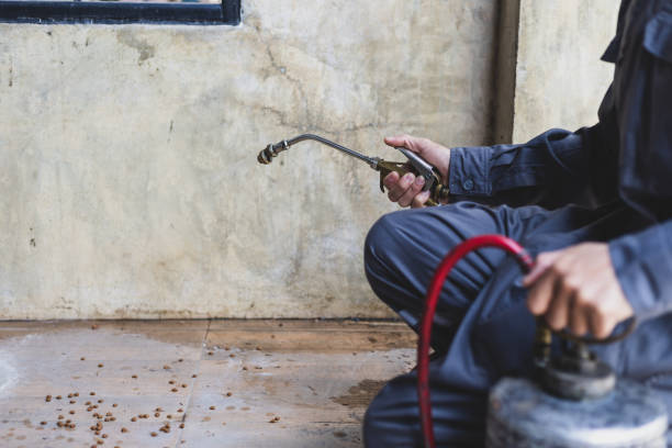 Best Emergency Pest Control  in Beaver, UT