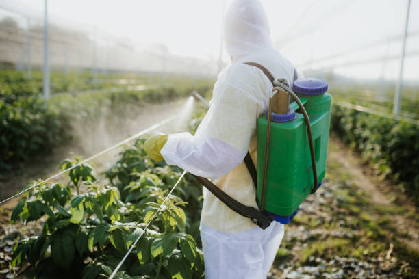 Pest Prevention Services in Beaver, UT